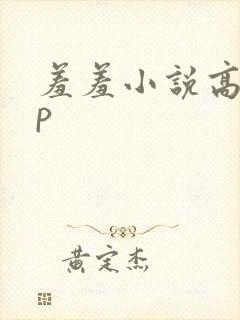 羞羞小说高hnp