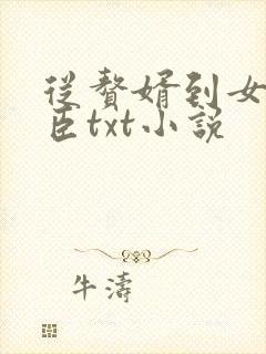 从赘婿到女帝宠臣txt小说