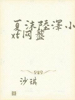 夏沫陆泽小说txt网盘封面