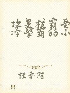攻是校霸受是清冷学霸的小说