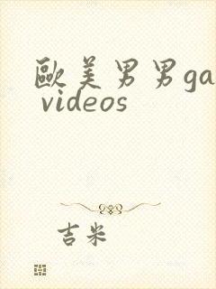 欧美男男gay videos