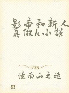 影帝和新人床戏真做h小说