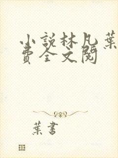 小说林凡叶惜免费全文阅