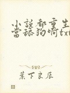 小说都重生了谁当舔狗啊txt