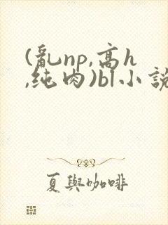 (乱np,高h,纯肉)bl小说