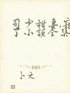 司少甜妻,宠定了小说全集