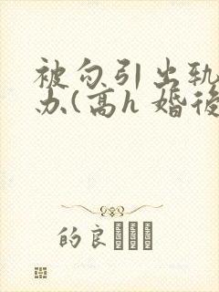 被勾引出轨怎么办(高h 婚后np