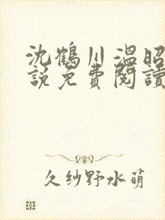 沈鹤川温昭宁小说免费阅读最新章节封面