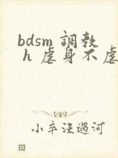 bdsm 调教 h 虐身不虐心 小甜文1v1