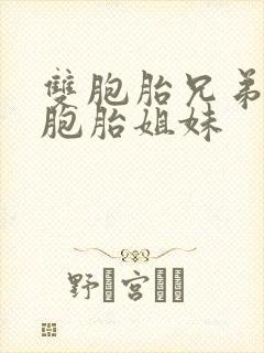 双胞胎兄弟娶双胞胎姐妹