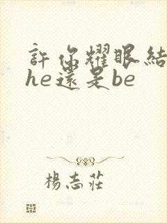 许你耀眼结局是he还是be封面