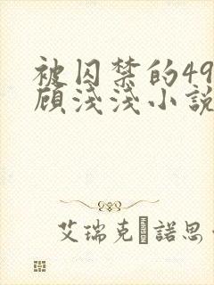 被囚禁的49天顾浅浅小说全文阅读无弹窗