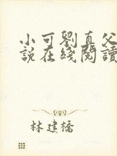 小可刘真父女小说在线阅读
