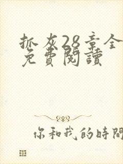 抓灰28章全部免费阅读封面