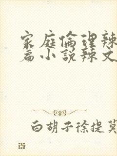 家庭伦理辣文短篇小说辣文短篇小说辣文封面