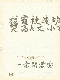 校霸被透明人c哭高h文小说