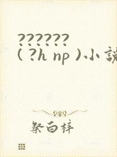 ?????? ( ?h np )小说