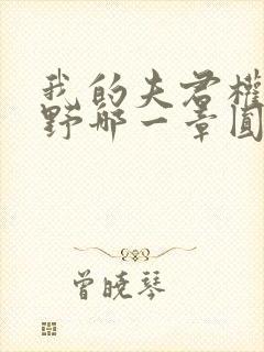 我的夫君权倾朝野哪一章圆房