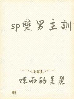 sp双男主训诫