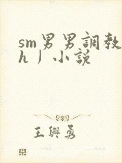 sm男男调教〈h丿小说