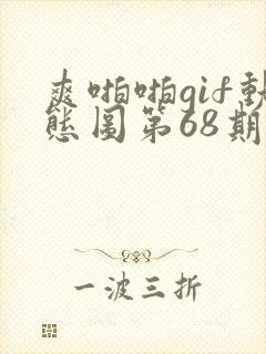 爽啪啪gif动态图第68期