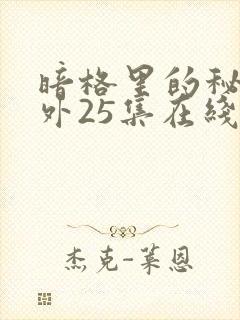 暗格里的秘密番外25集在线观看封面
