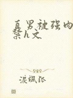 直男被强肉到失禁h文