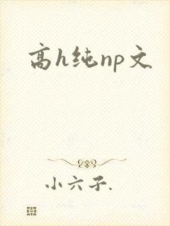 高h纯np文