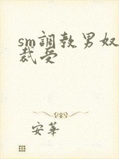sm调教男奴总裁受