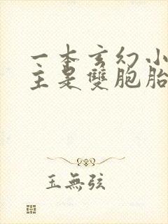 一本玄幻小说女主是双胞胎