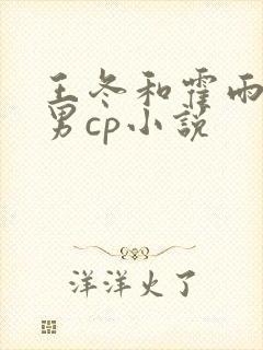 王冬和霍雨浩男男cp小说
