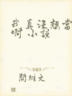 我真没想当皇帝啊 小说封面