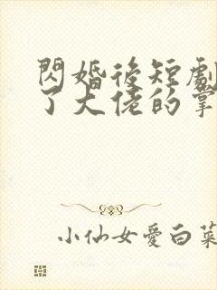 闪婚后短剧我成了大佬的掌中之物
