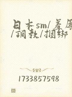 日本sm/羞辱/调教/捆绑