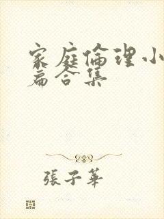 家庭伦理小说短篇合集封面