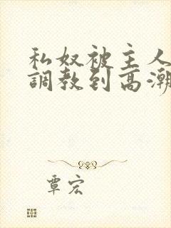 私奴被主人玩弄调教到高潮小说