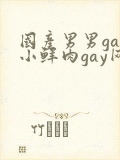 国产男男gay小鲜肉gay网站亚洲