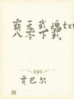 霸天武魂txt八零下载封面
