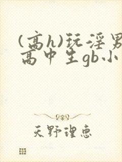 (高h)玩淫男高中生gb小说