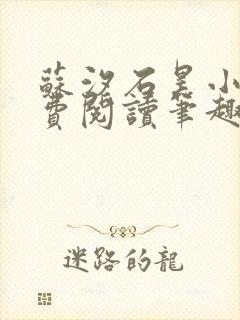 苏汐石昊小说免费阅读笔趣阁