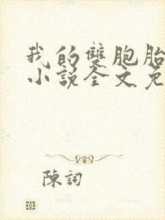 我的双胞胎老婆小说全文免费阅读封面