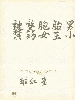 被双胞胎男主囚禁的女主小说封面
