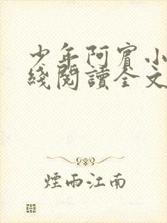 少年阿宾小说在线阅读全文免费阅读