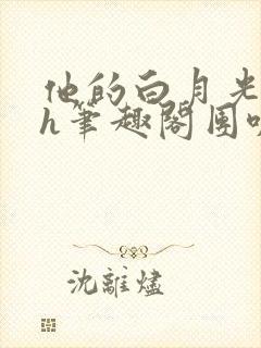 他的白月光hvh笔趣阁团叽叽