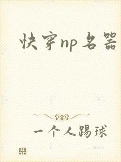 快穿np名器