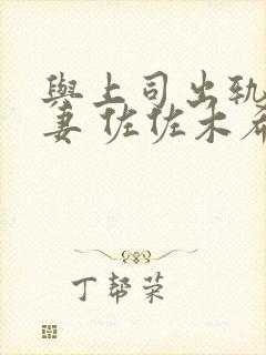 与上司出轨的人妻 佐佐木希封面