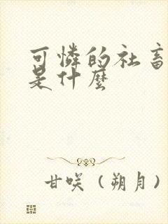 可怜的社畜讲的是什么