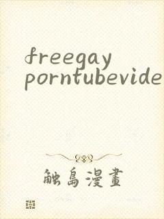 freegayporntubevideos