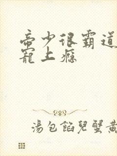 帝少很霸道甜妻宠上瘾