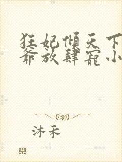 狂妃倾天下:王爷放肆宠小说封面